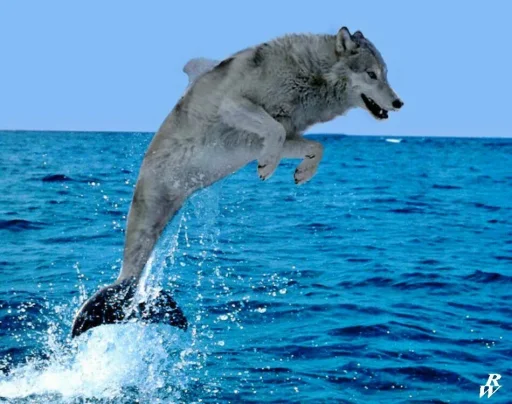 Seawolf